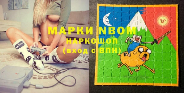 прущие грибы Алзамай