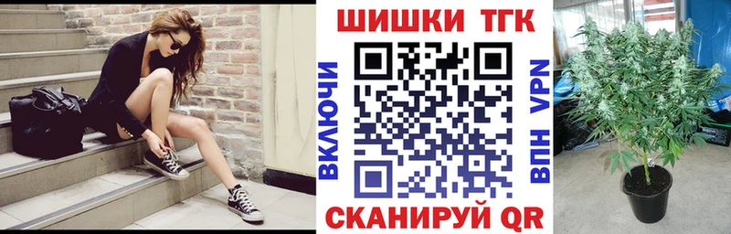 Бошки марихуана MAZAR  цены наркотик  МЕГА   Вологда 